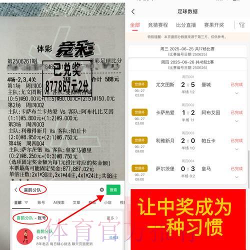 世界杯竞猜直播攻略：即时下注分析与实战技巧